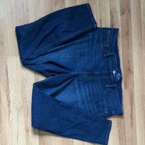 Gap Women's Size 18 Deep Blue Skinny Jeans